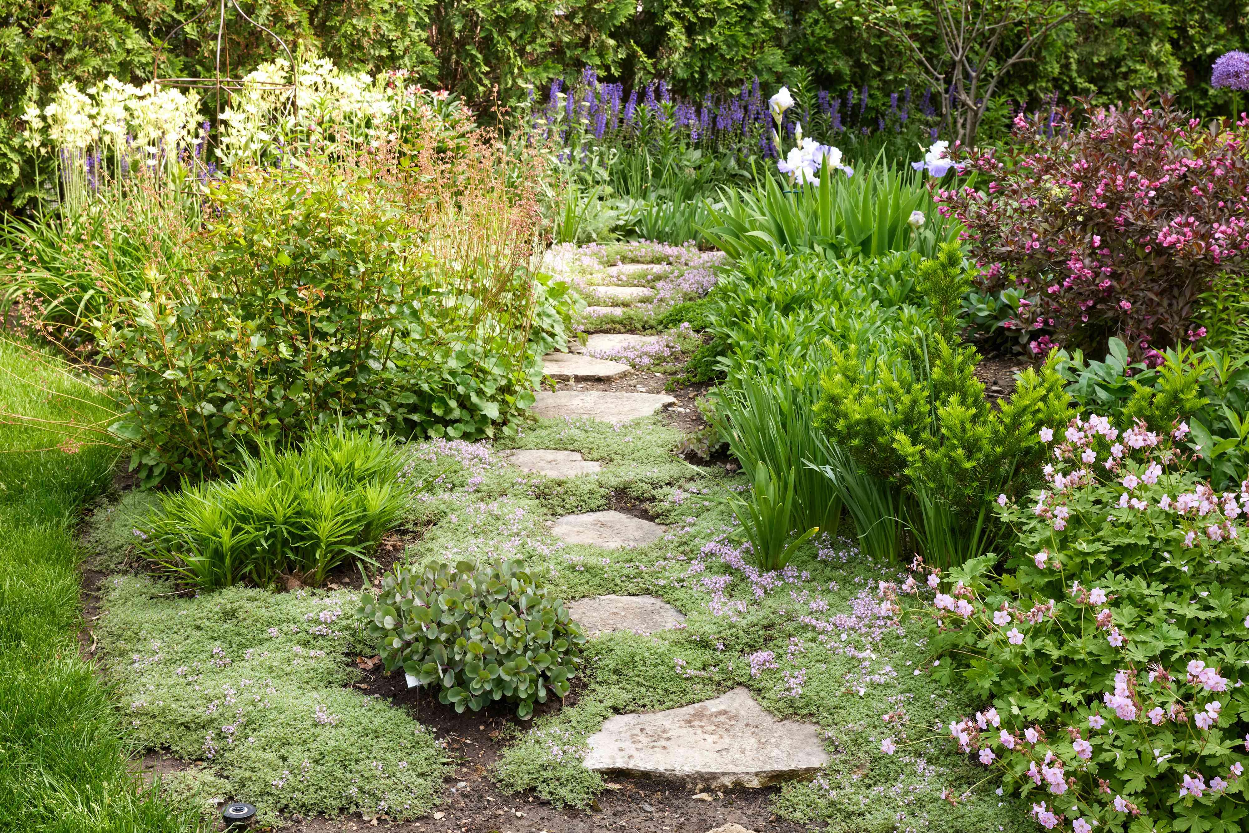 Elegant Journeys: Custom Garden Paths & Patios for Seamless Outdoor Connectivity