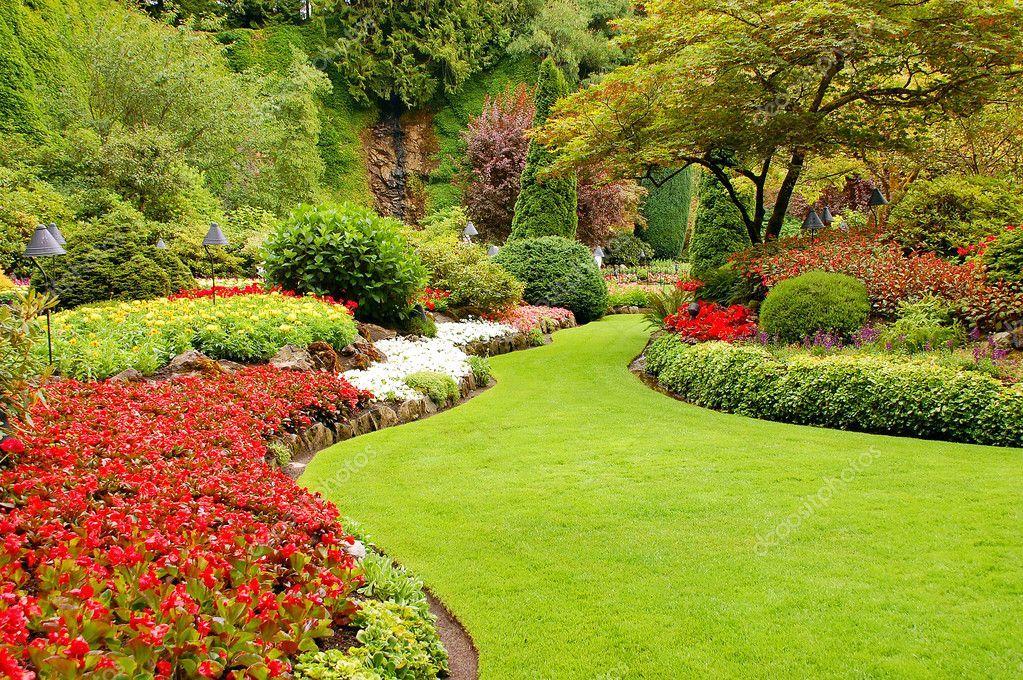 Lush Gardens & Vibrant Spaces: DARI LANDSCAPE Planting & Lawn Creation.