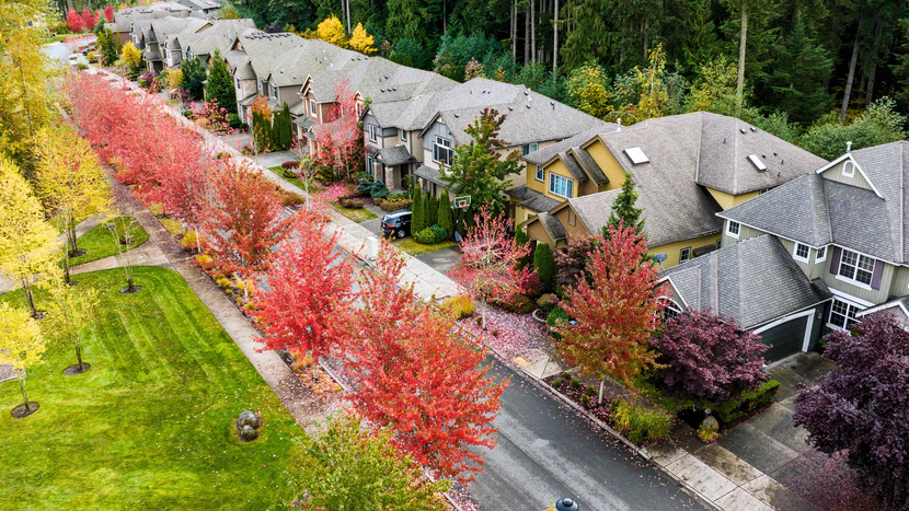 DARI LANDSCAPE: Crafting Complete Outdoor Worlds, from Concept to Flourishing Reality