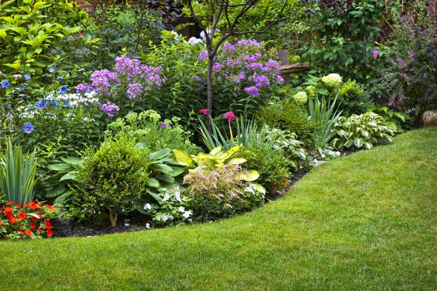 Velvet Green Carpets: Meticulous Lawn Creation for a Pristine and Inviting Outdoor Area